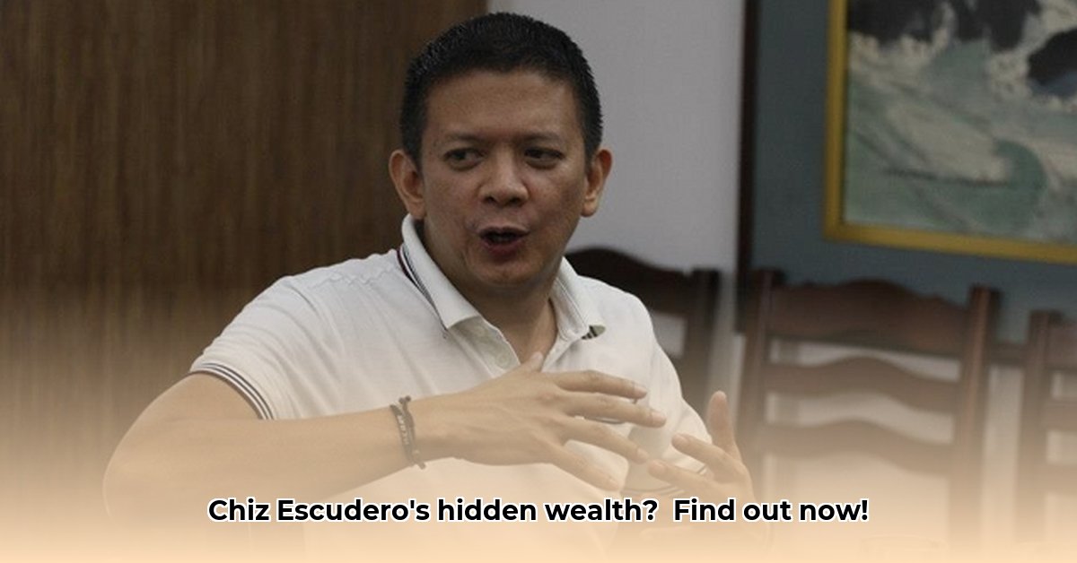 chiz-escudero-net-worth